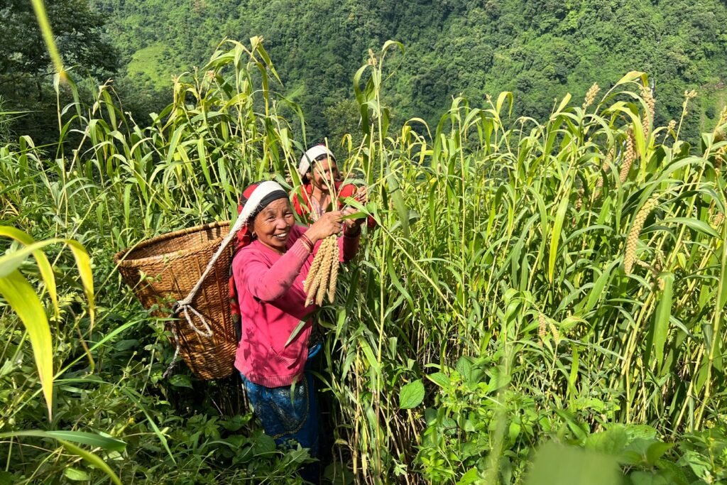 Measuring What Matters: The Power of Independent Evaluation in Nepal’s Development Sector